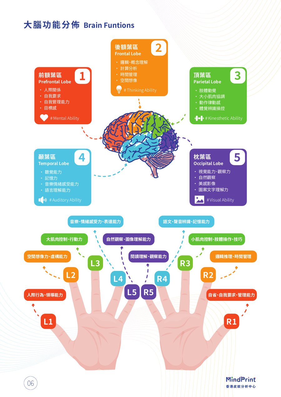 報告模板預覽：大腦功能分析頁面